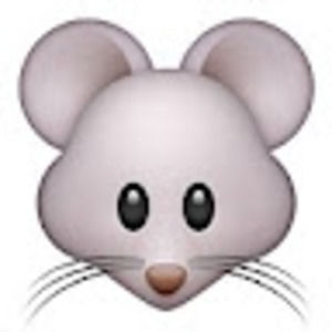 Meet your Posher, Boo